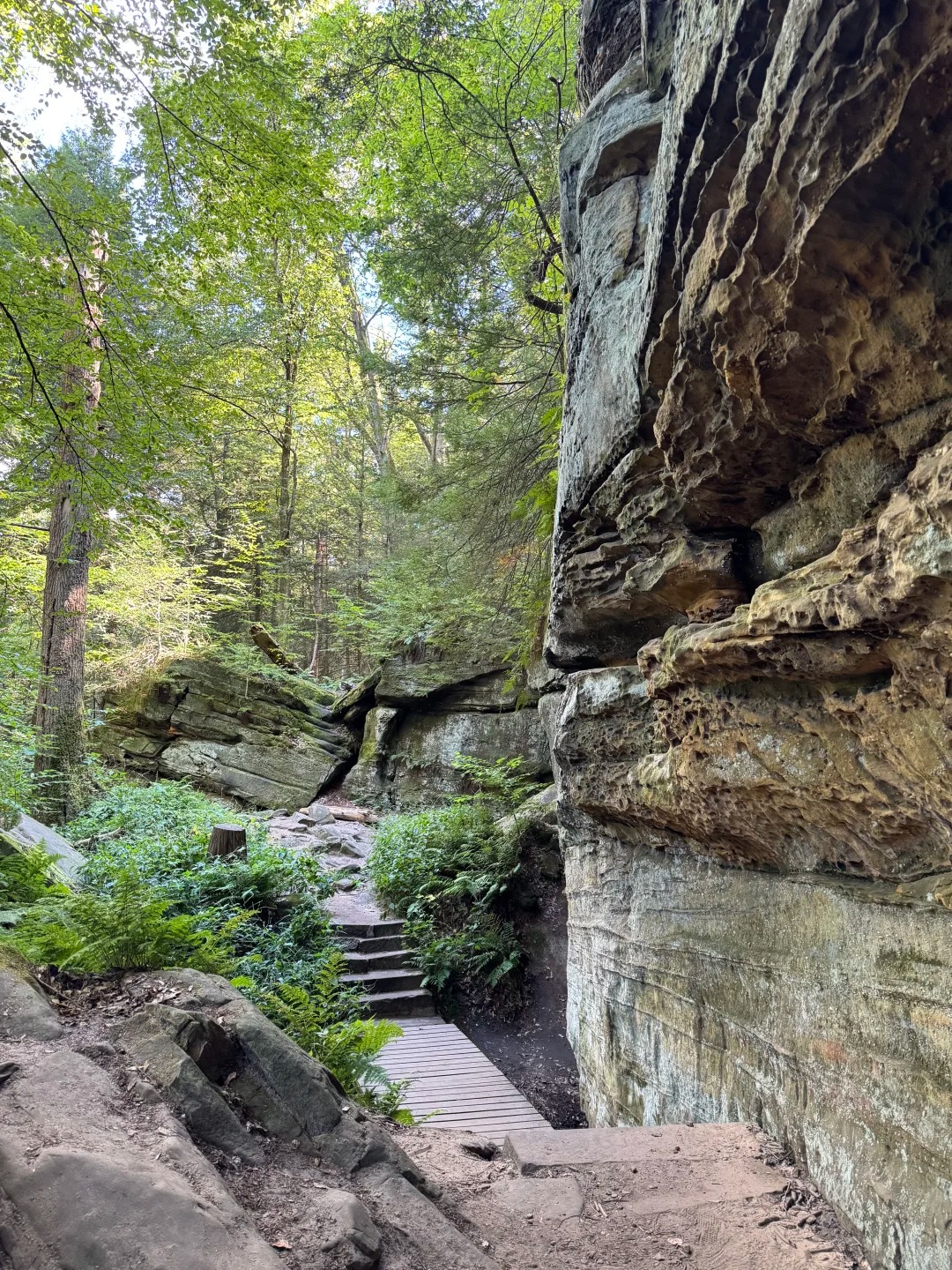 Brandywine Falls