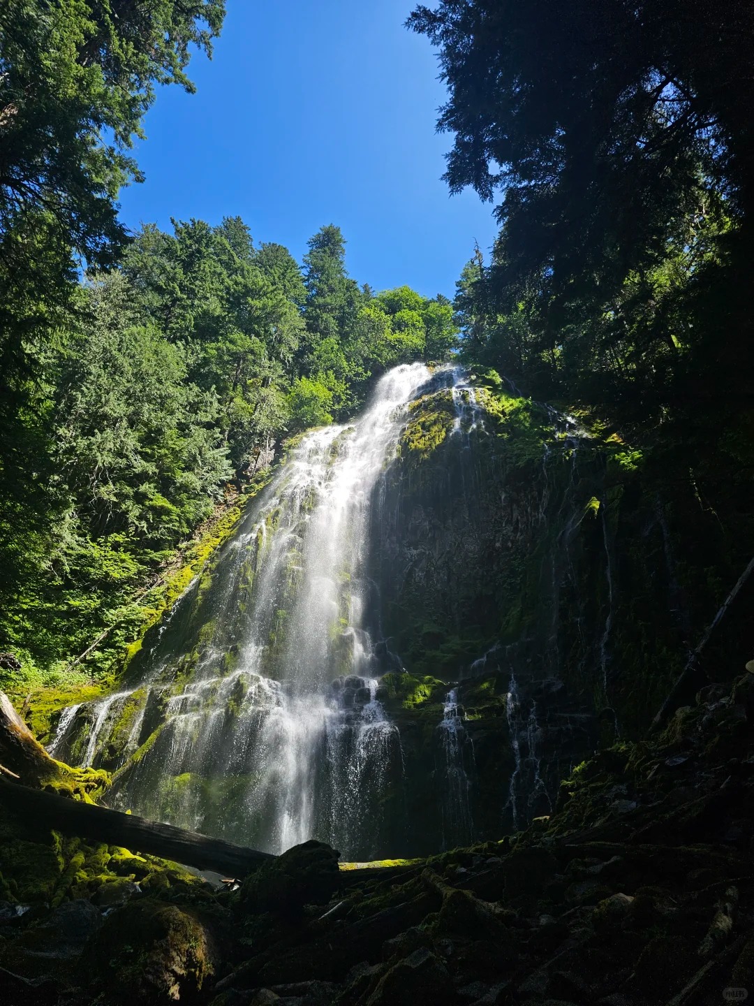 Proxy Falls