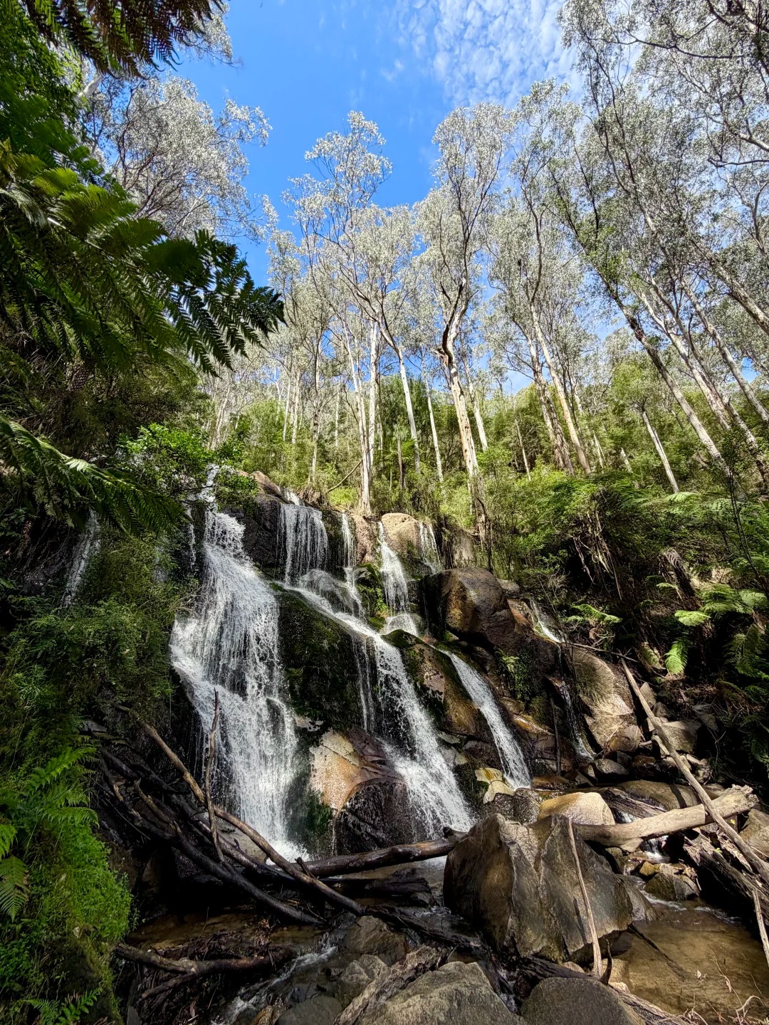 Toorongo Falls