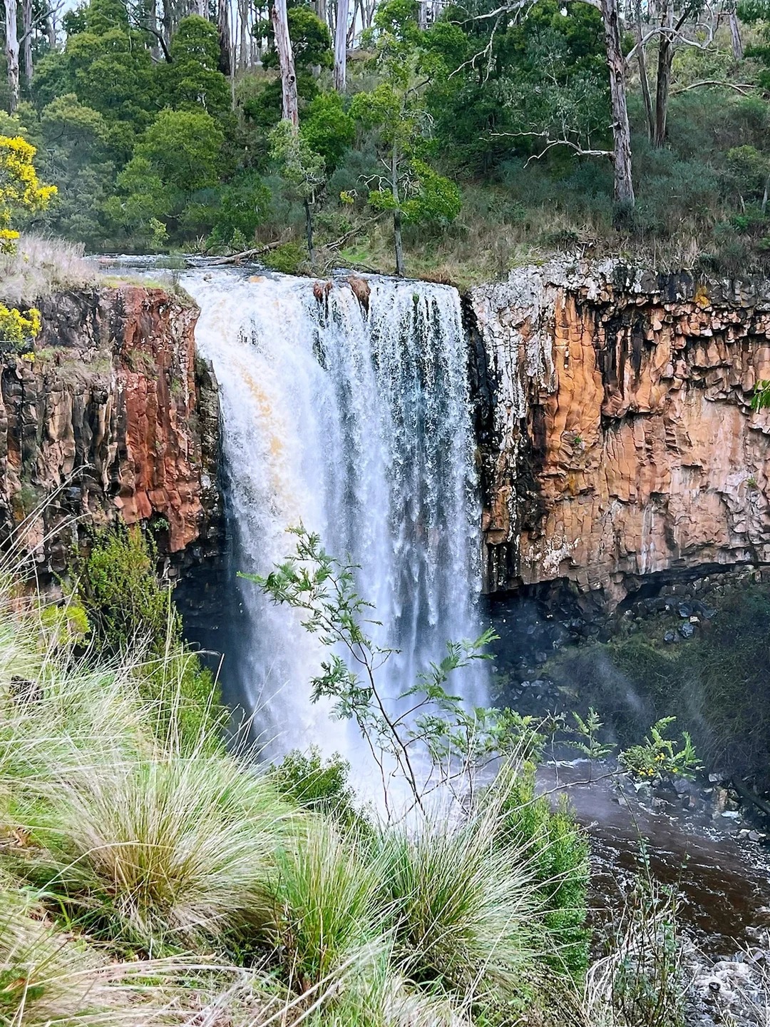 Trentham Falls