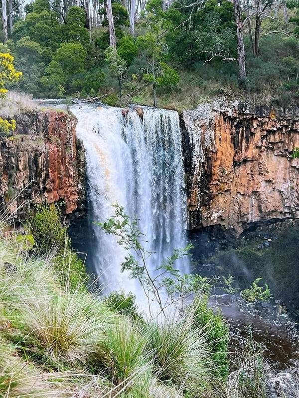 Trentham Falls