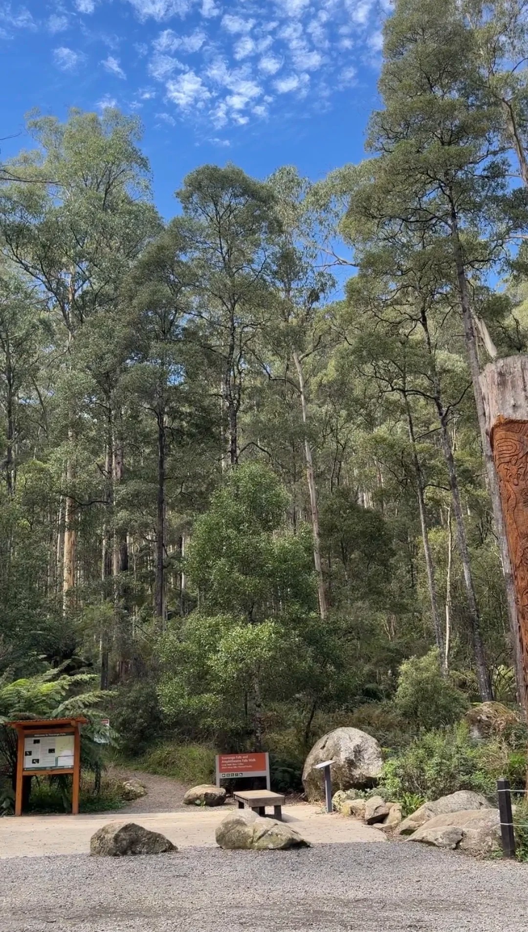 Toorongo Falls