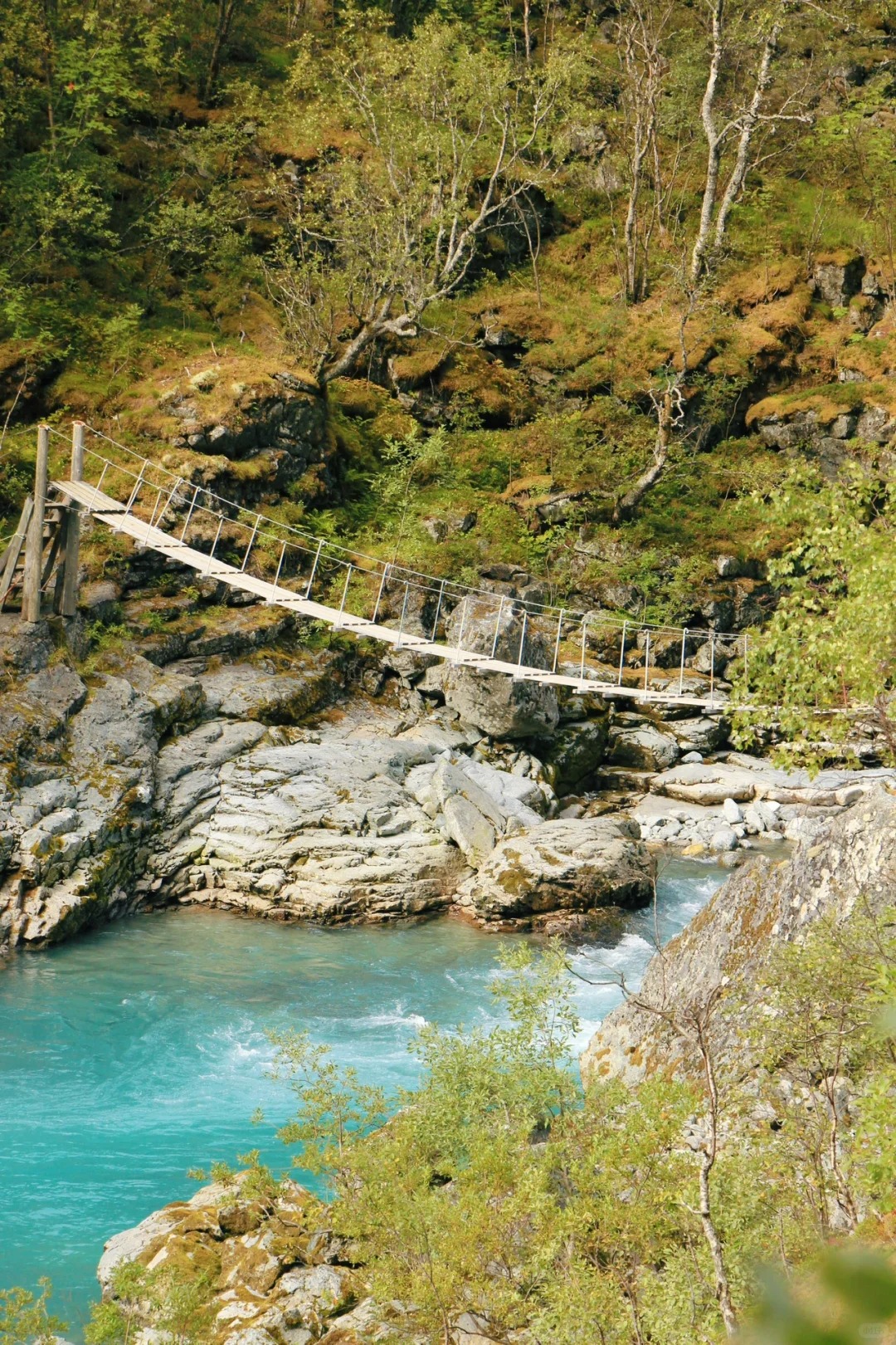 Vettisfossen