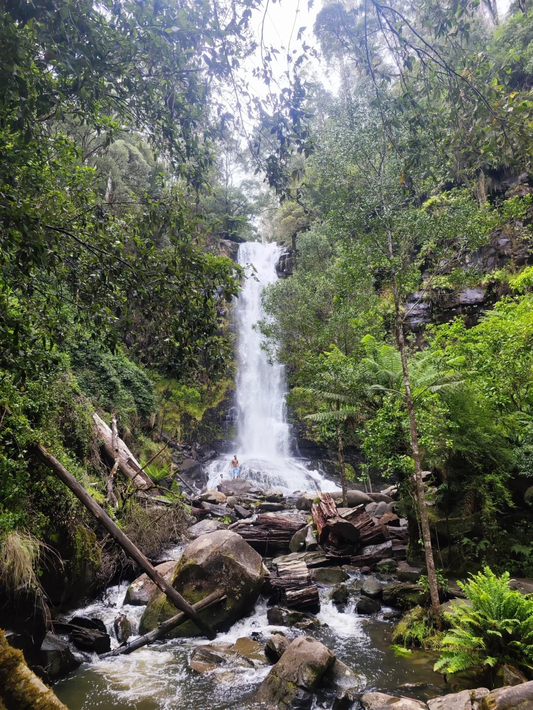 Hopetoun Falls