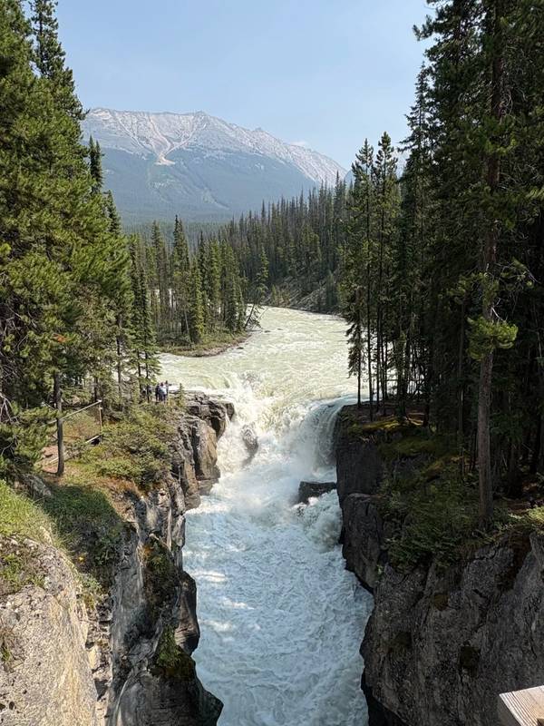 Sunwapta Falls