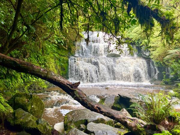 Purakaunui Falls