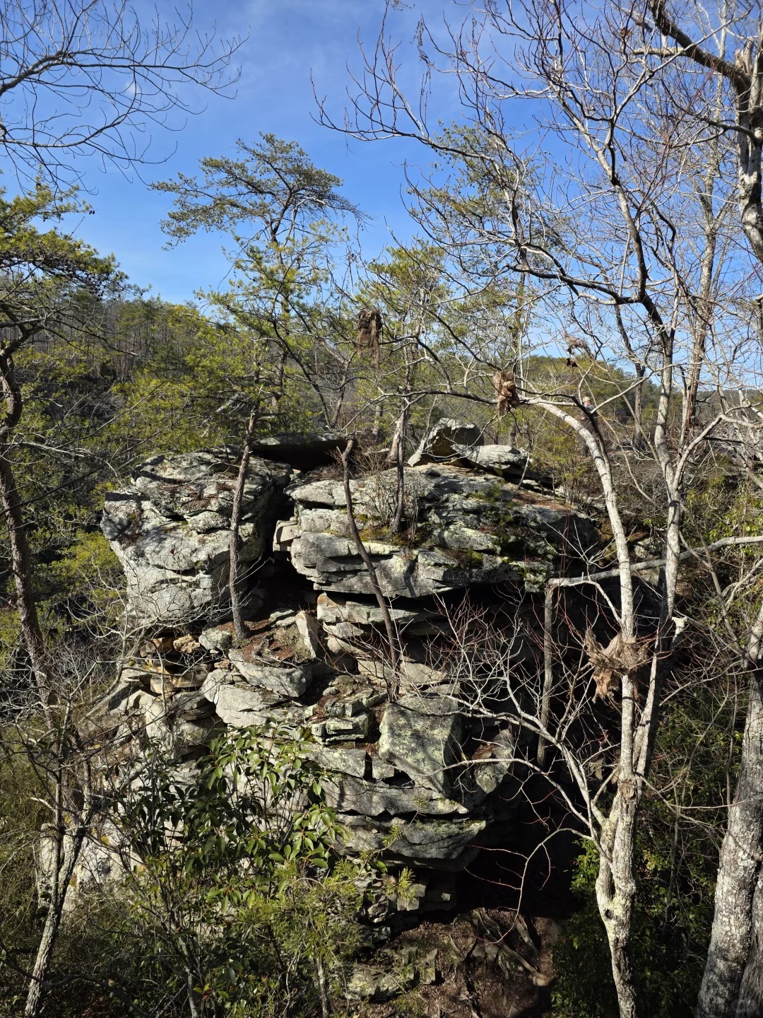 Fall Creek Falls — photo 3