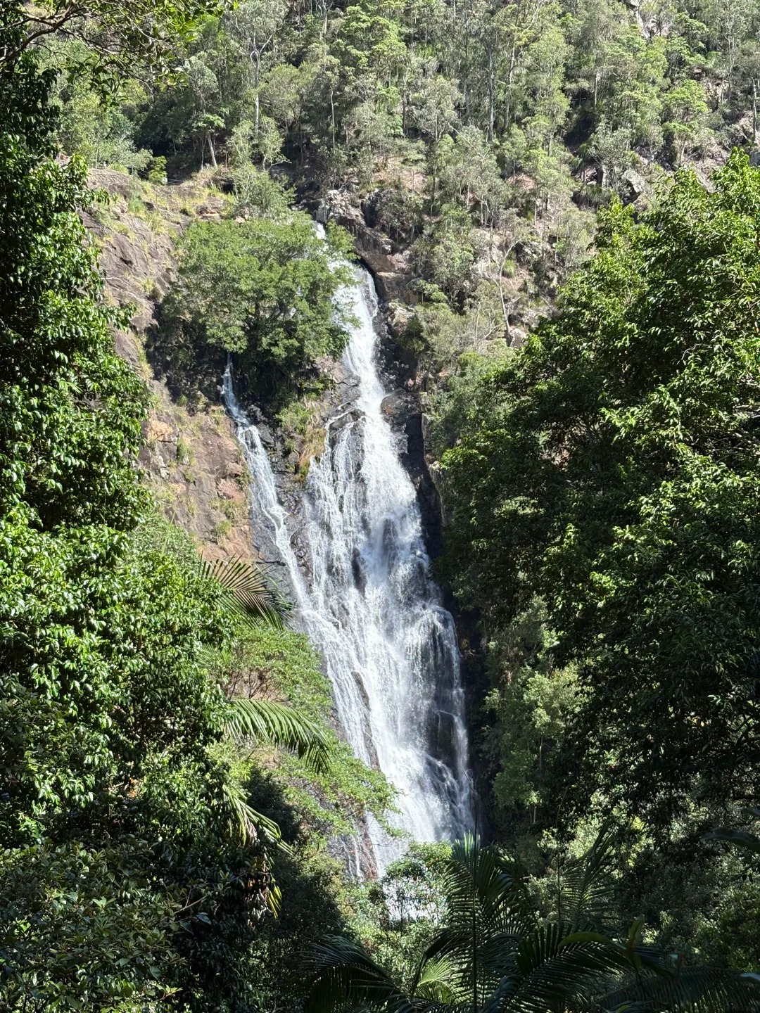 Kondalilla Falls