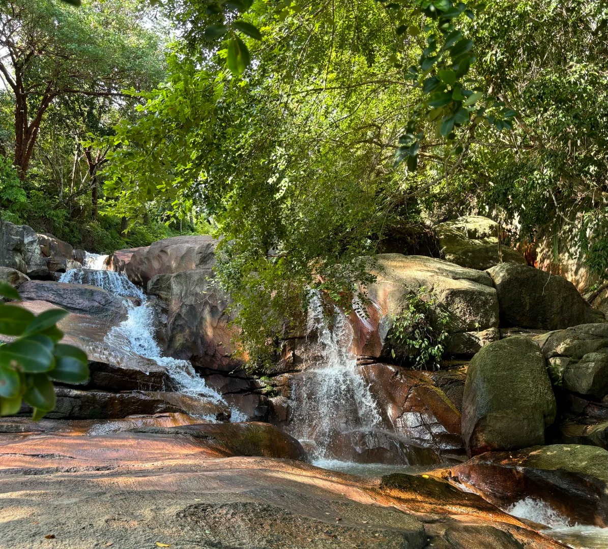 Chin Farm Waterfall — hero