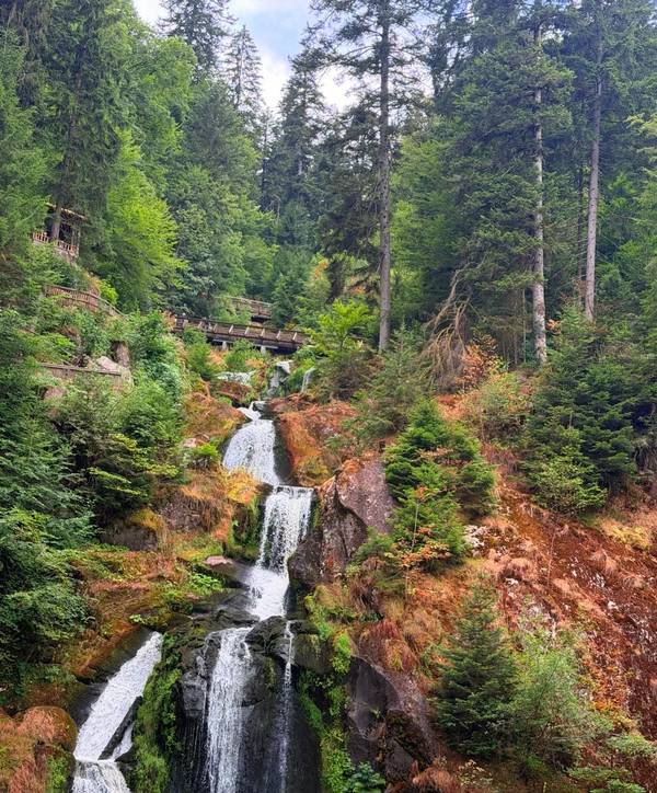 Triberg Waterfalls