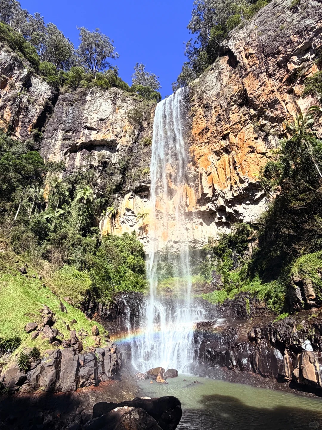 Springbrook Falls (Purling Brook)