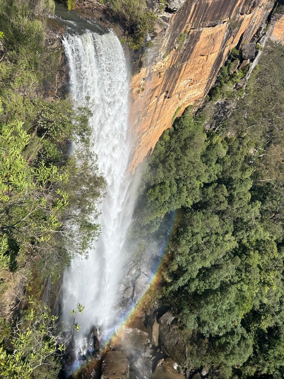 Fitzroy Falls