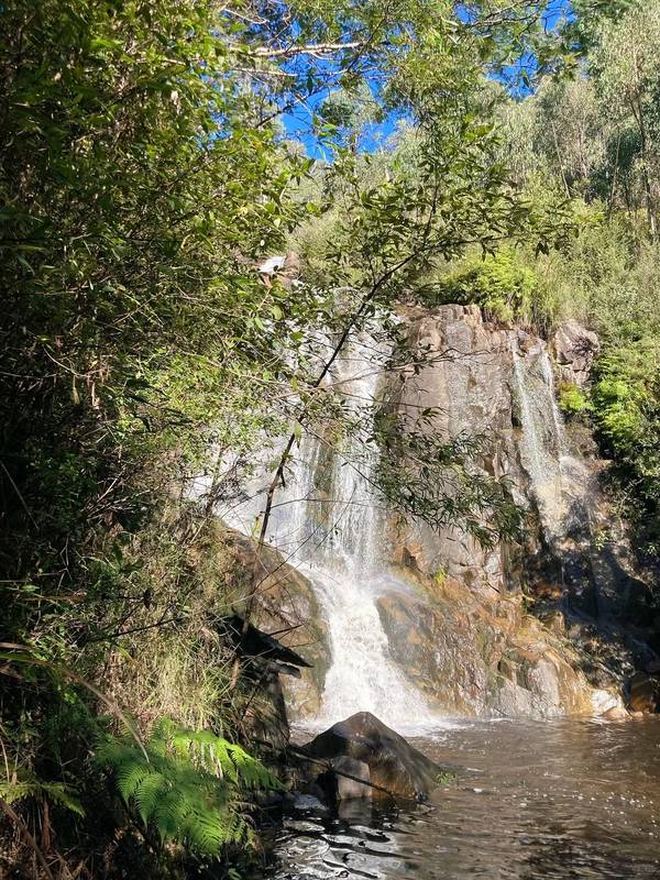 Steavenson Falls
