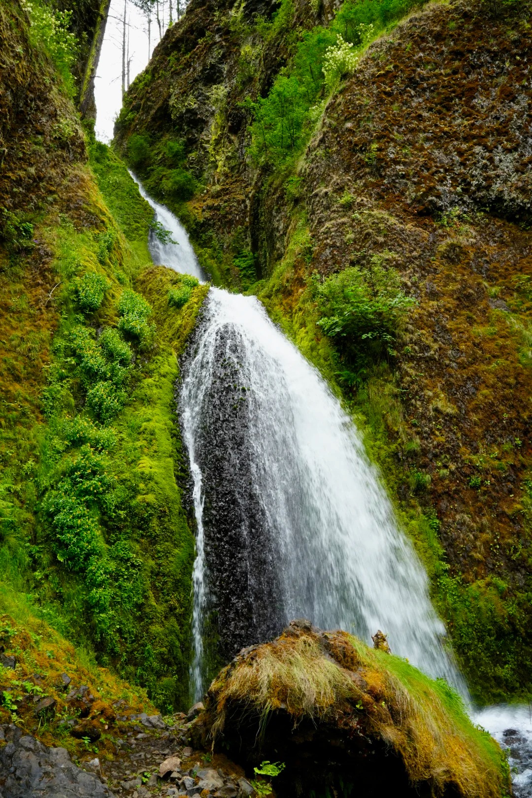 Wahkeena Falls