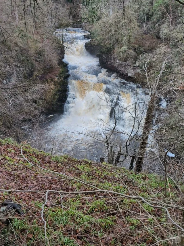 Falls of Clyde