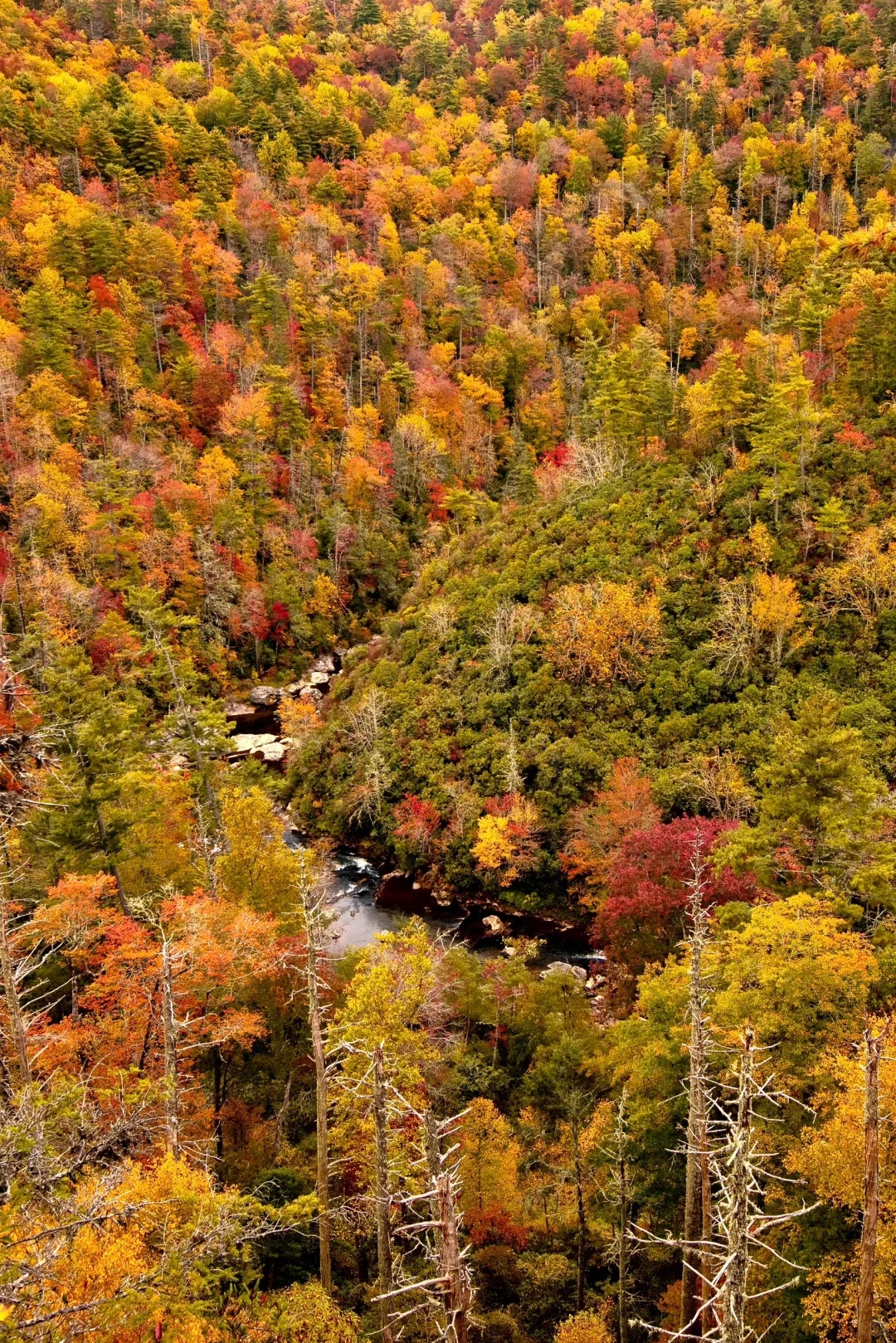 Linville Falls — photo 2