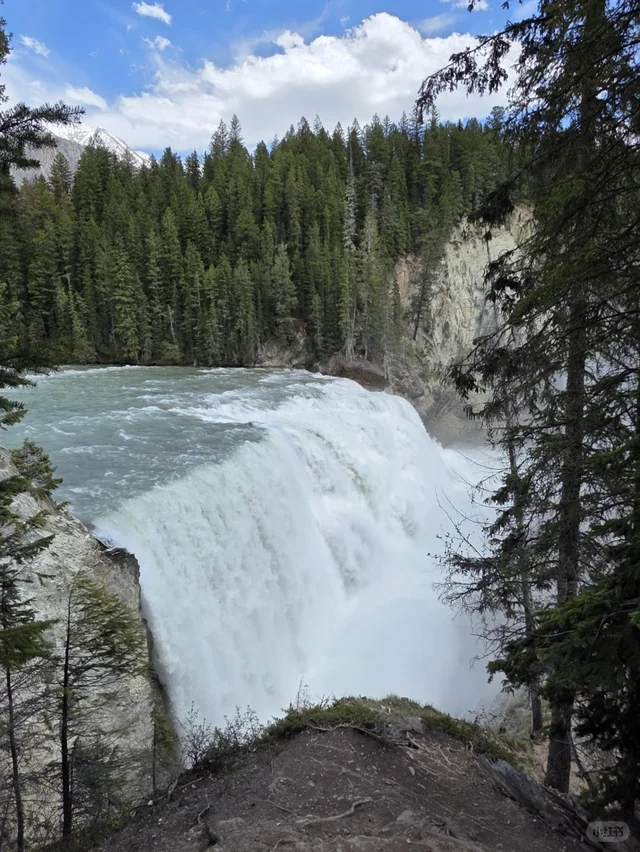 Wapta Falls