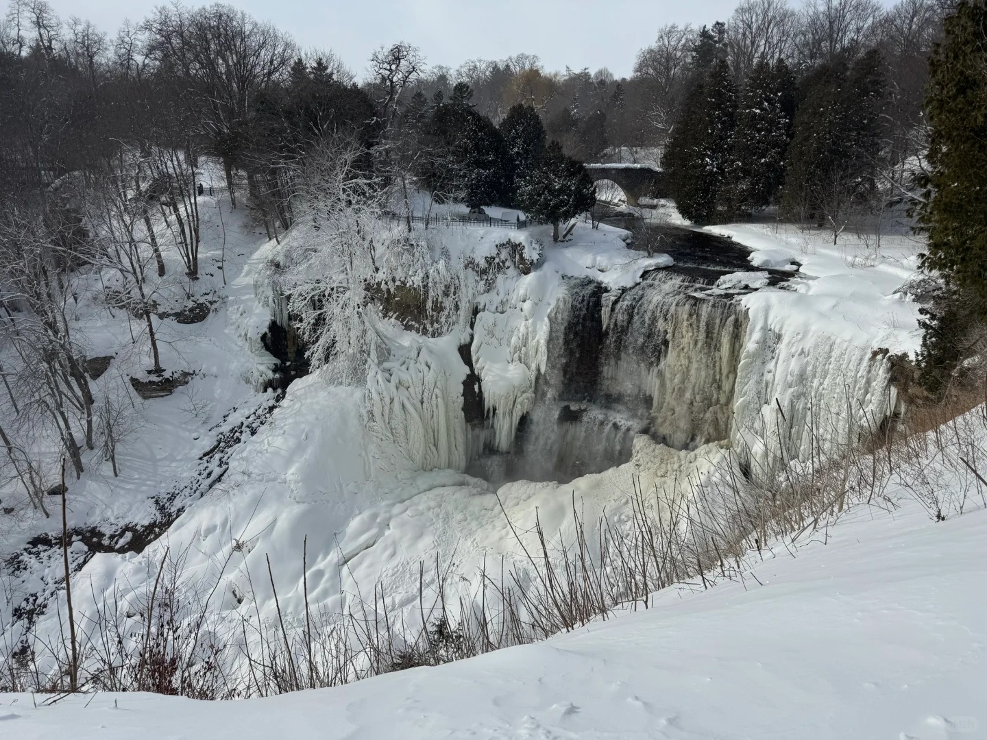 Webster Falls