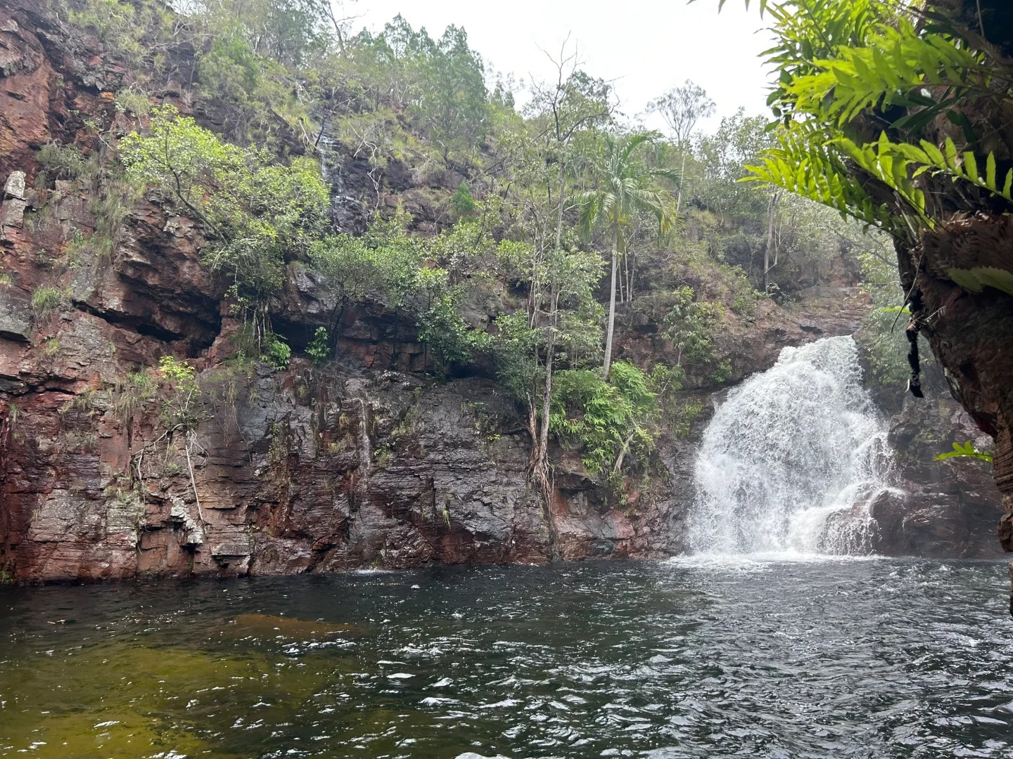 Florence Falls — photo 2