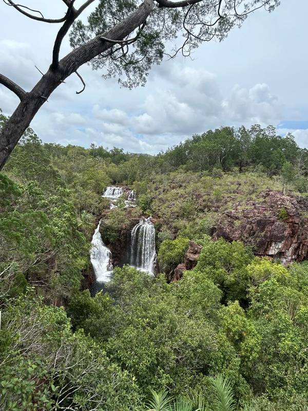 Florence Falls