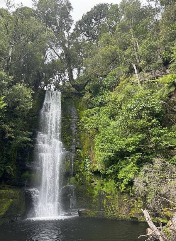 McLean Falls