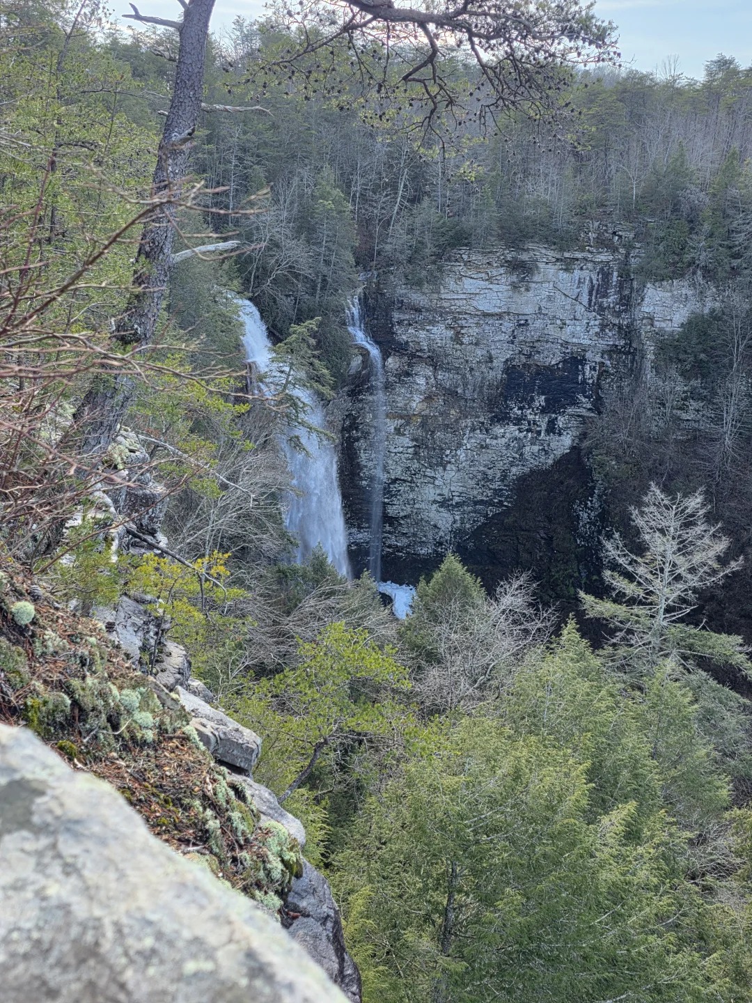 Fall Creek Falls — photo 2