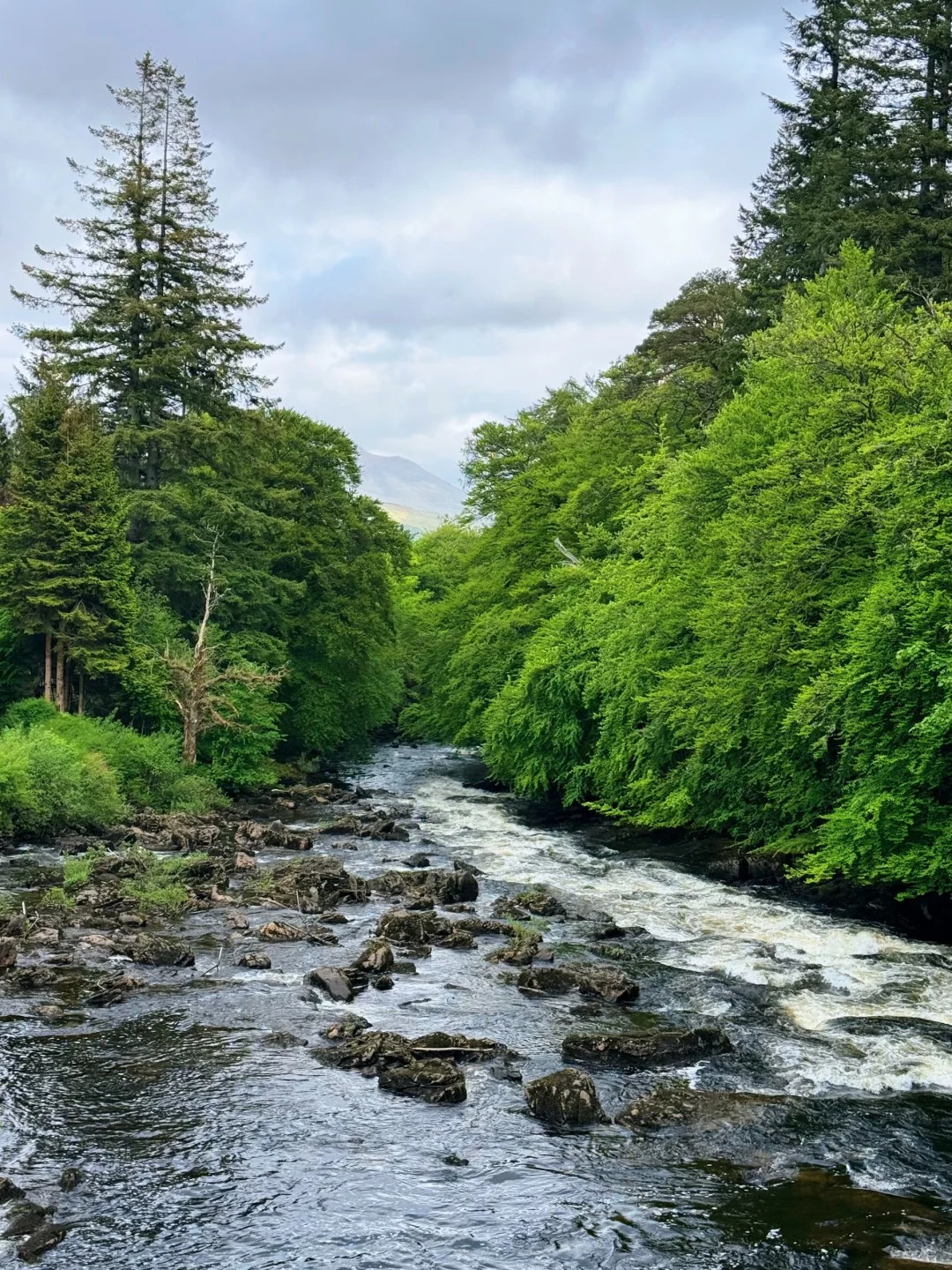 Falls of Dochart