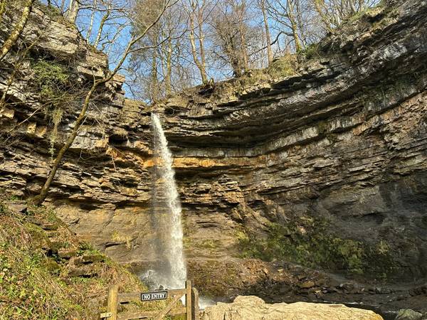 Hardraw Force