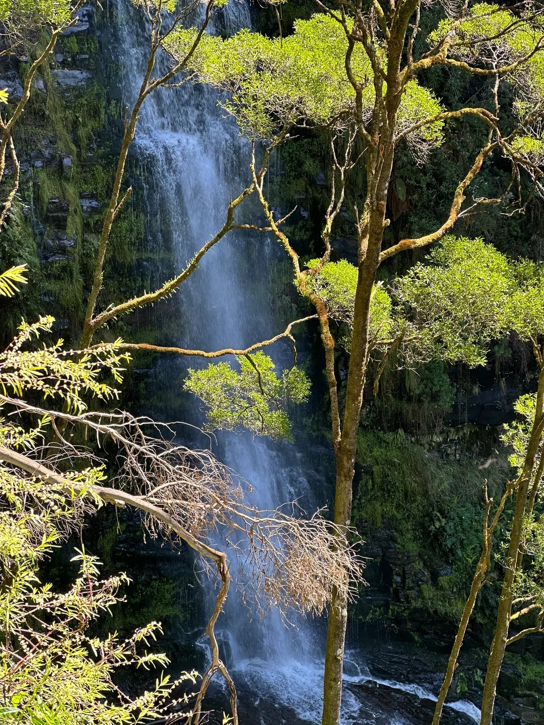 Erskine Falls