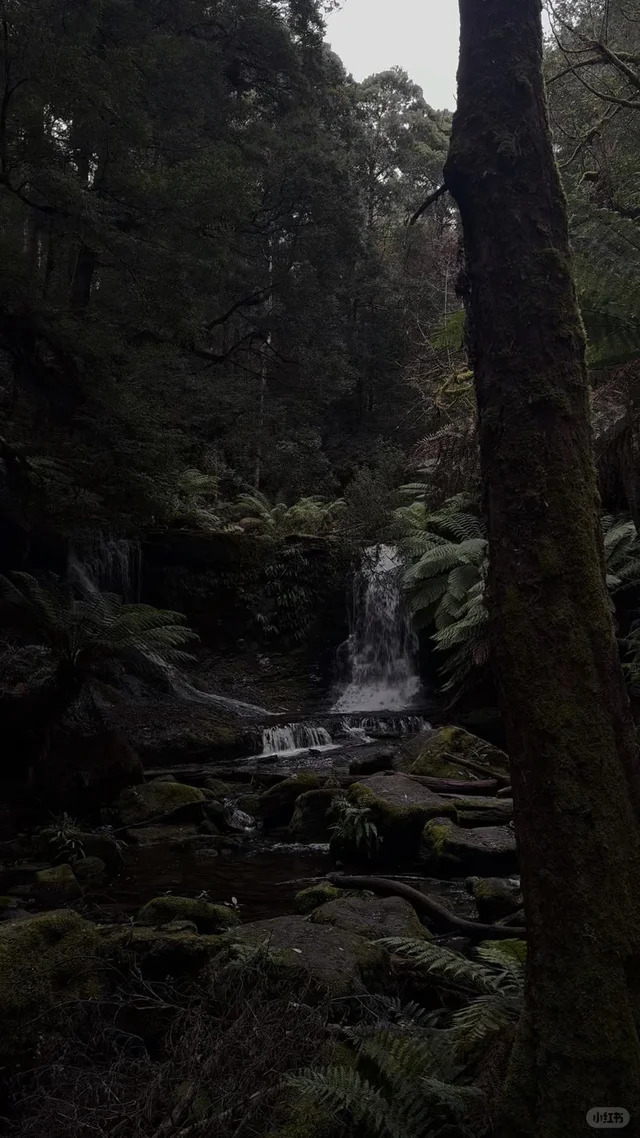 Russell Falls