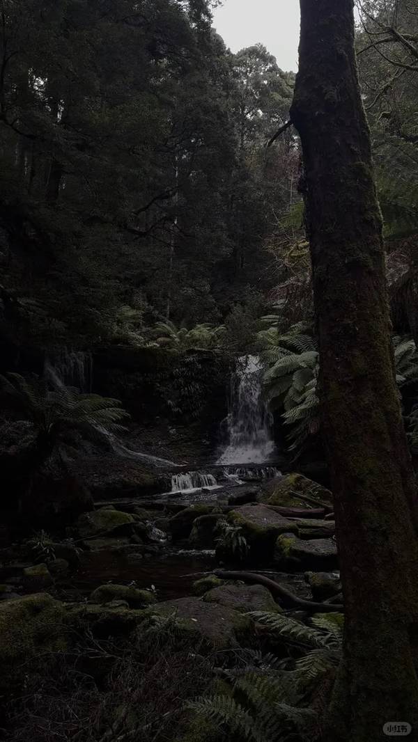 Russell Falls