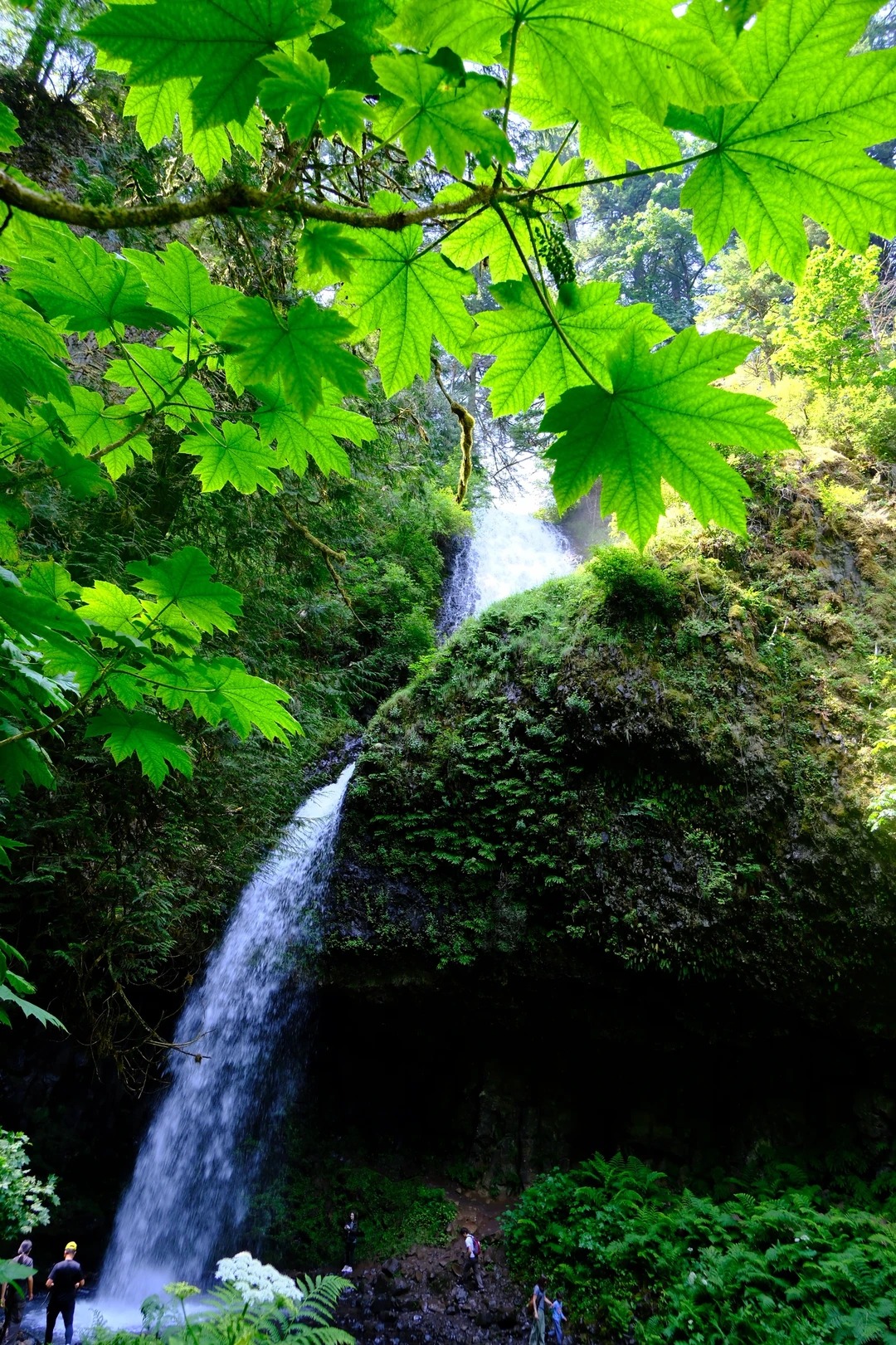 Latourell Falls