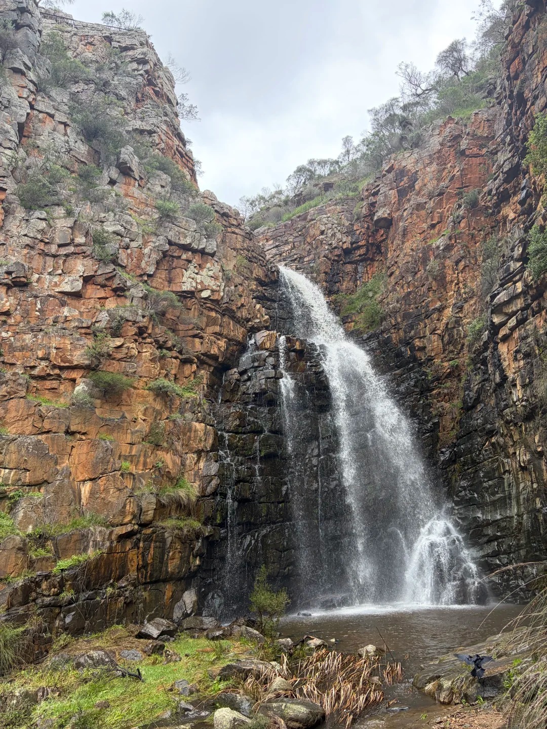 Morialta Falls
