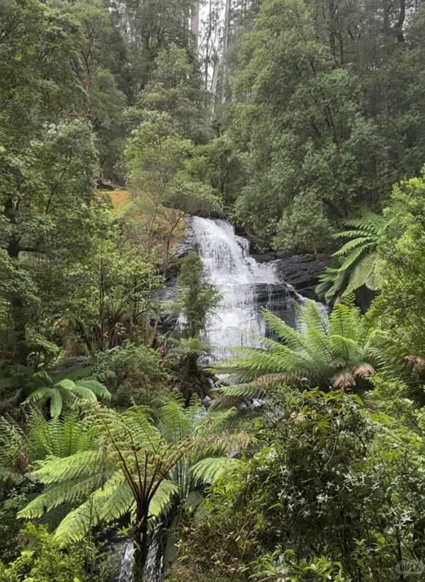 Beauchamp Falls