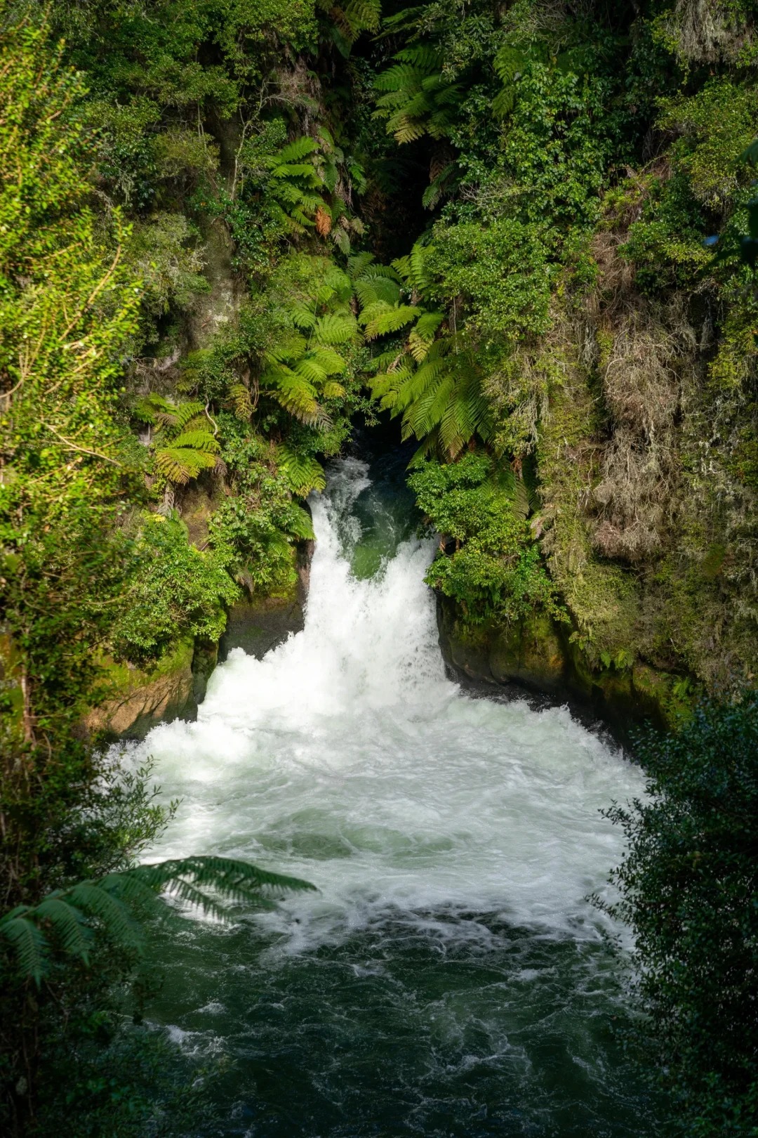 Tutea Falls — hero