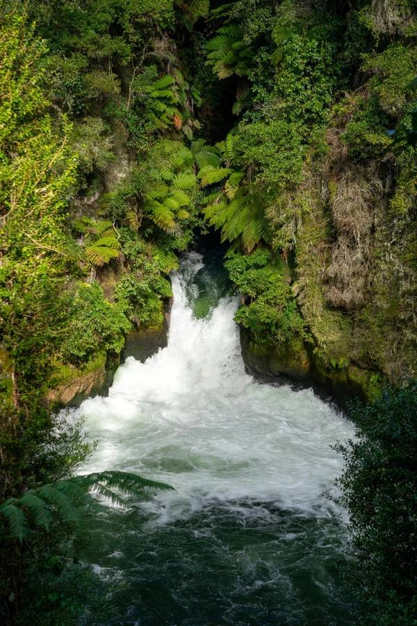 Tutea Falls