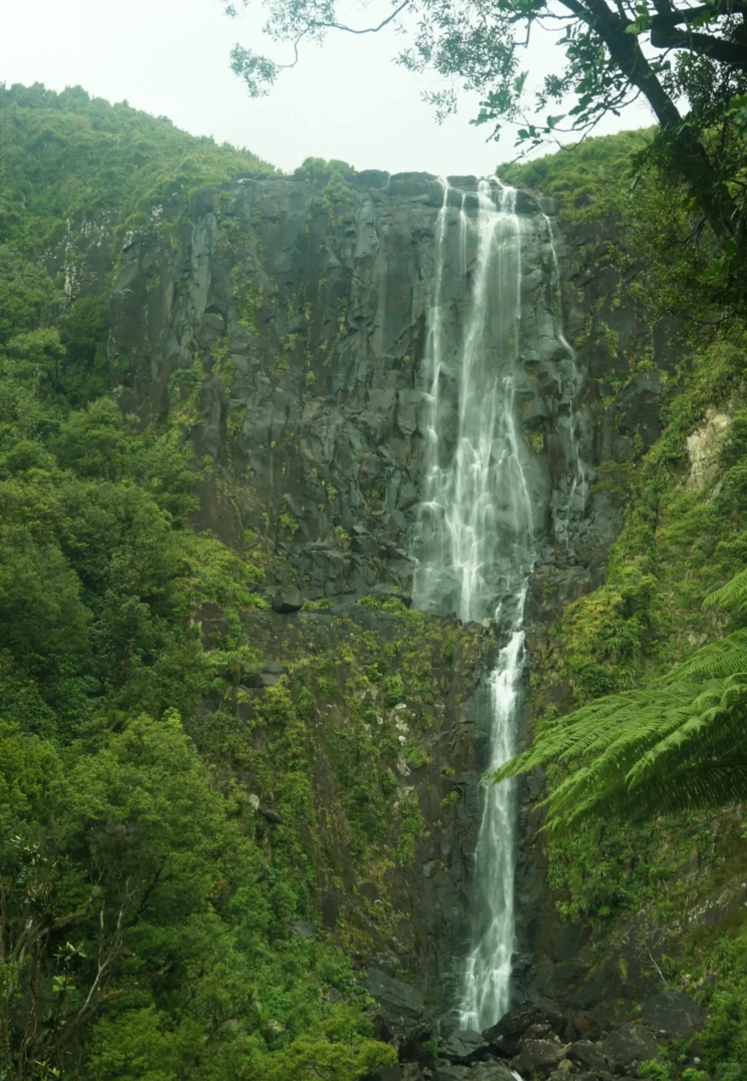 Wairere Falls