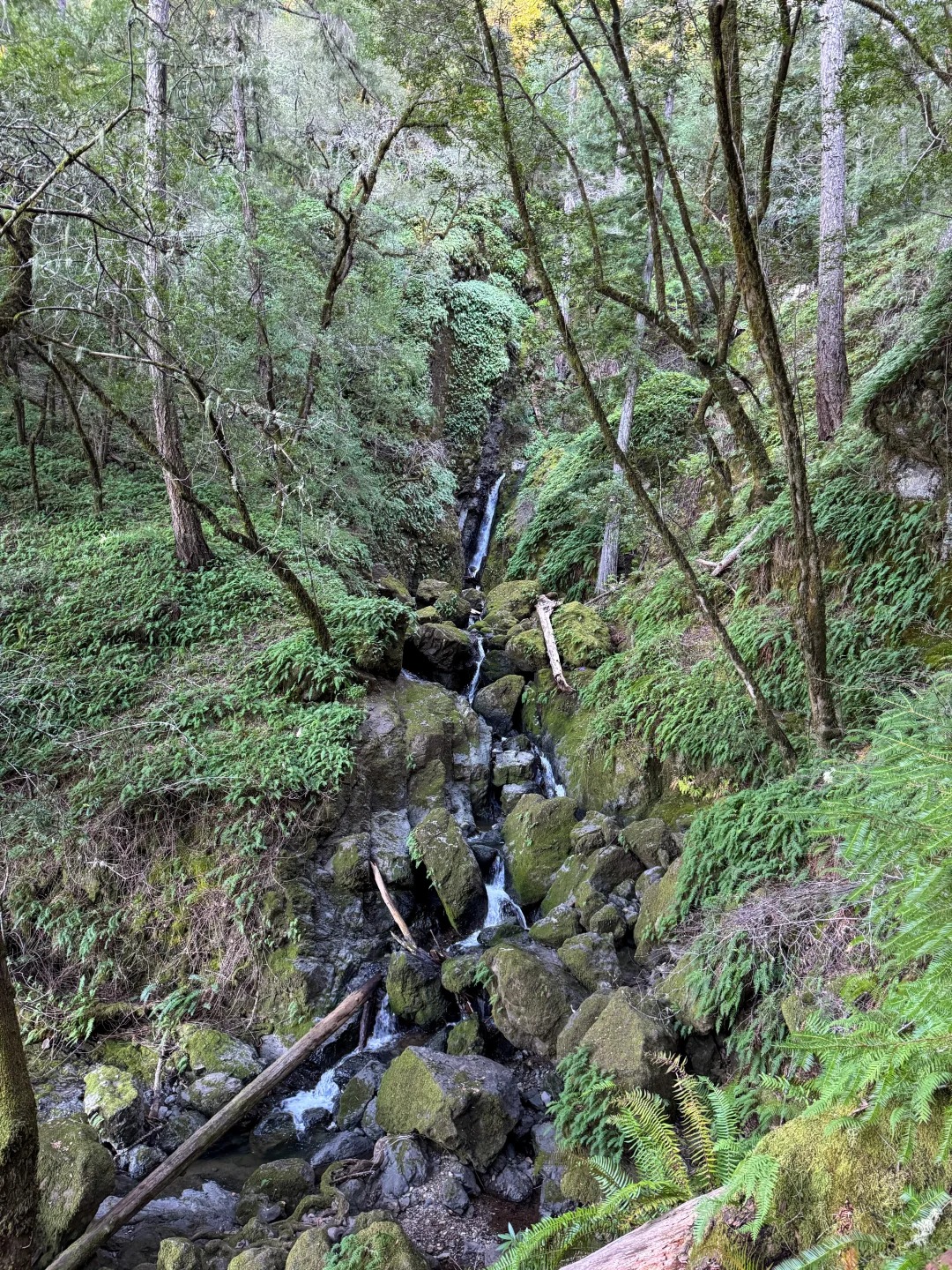 Cataract Falls — hero