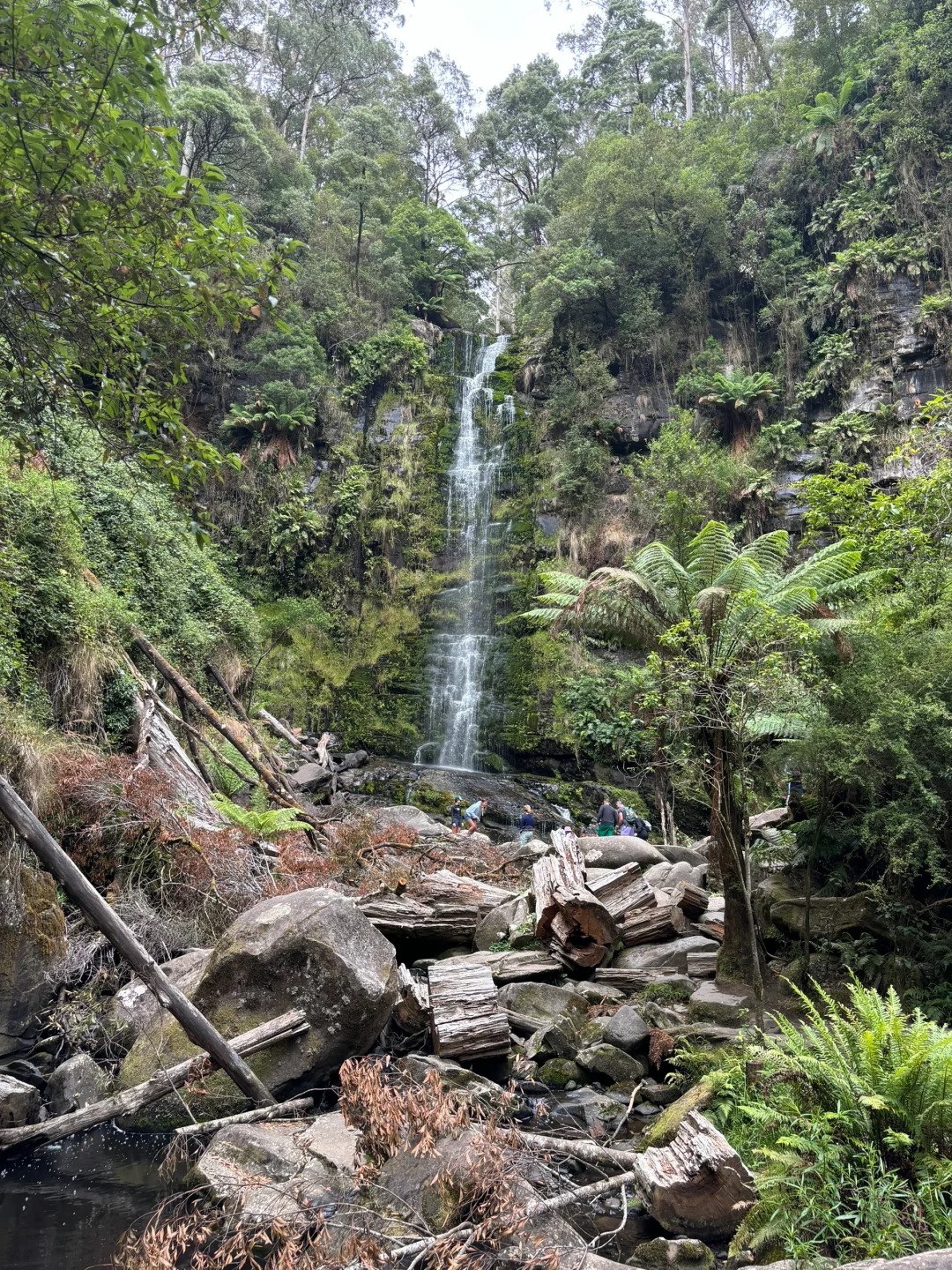 Erskine Falls