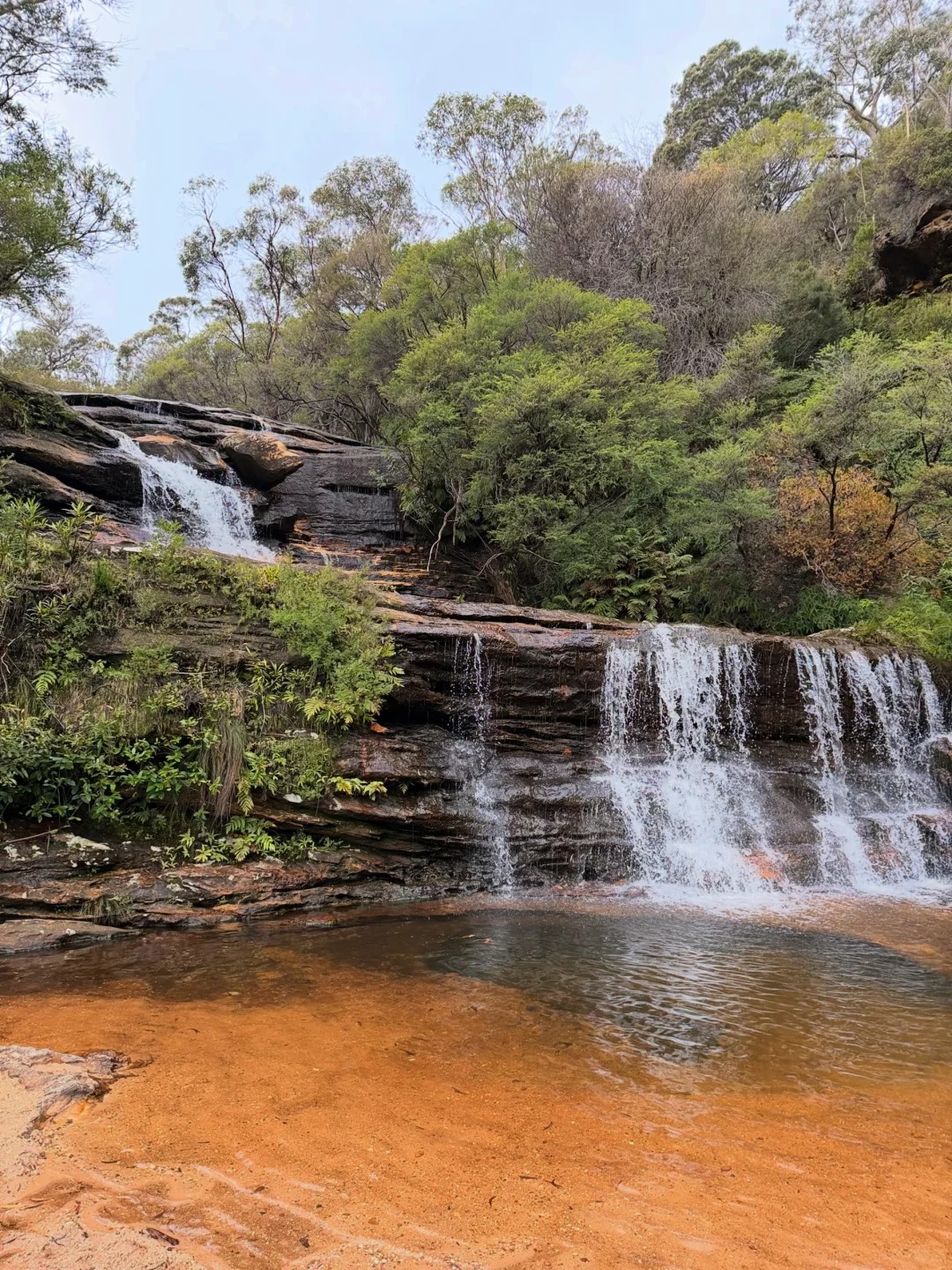 Wentworth Falls 3