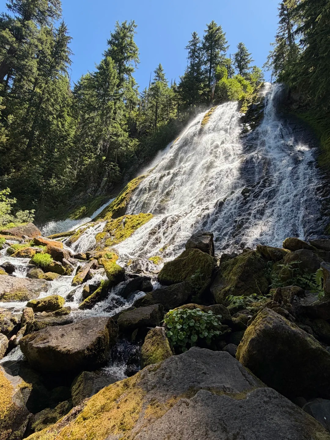 Salt Creek Falls 3