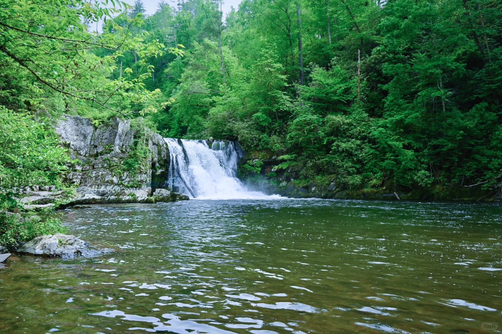 Abrams Falls