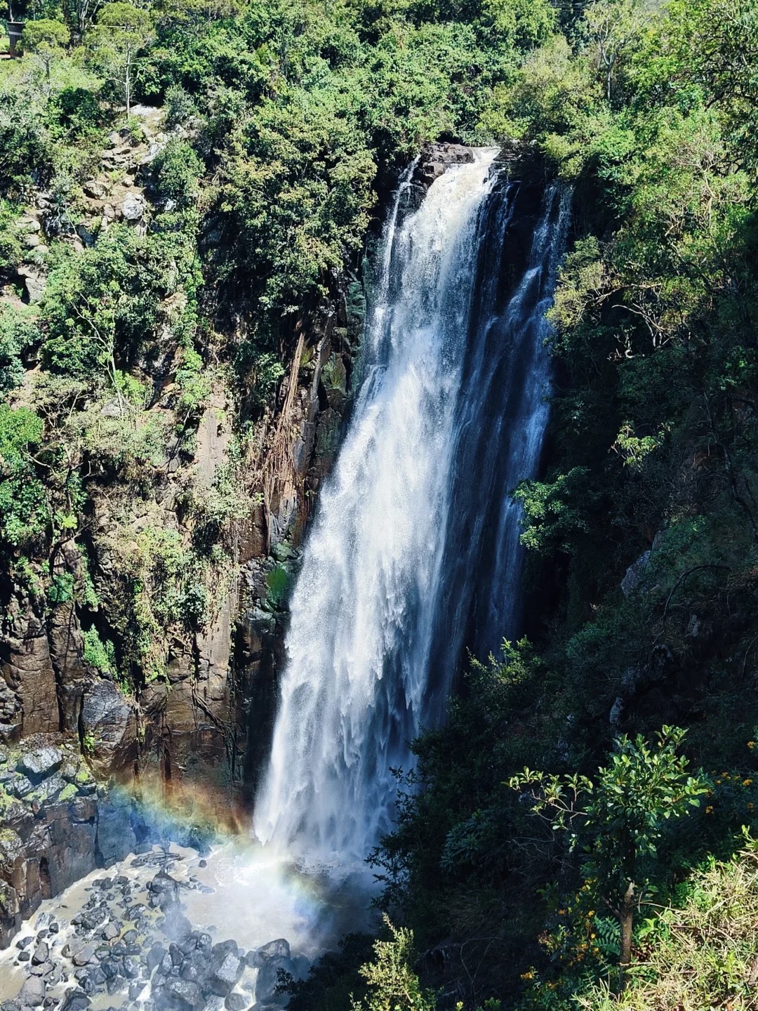 Thomson's Falls