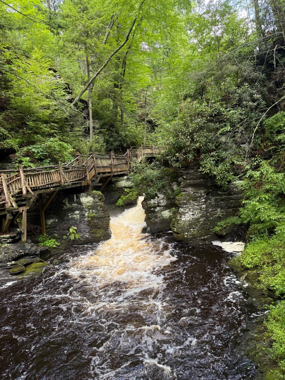 Bushkill Falls — photo 2