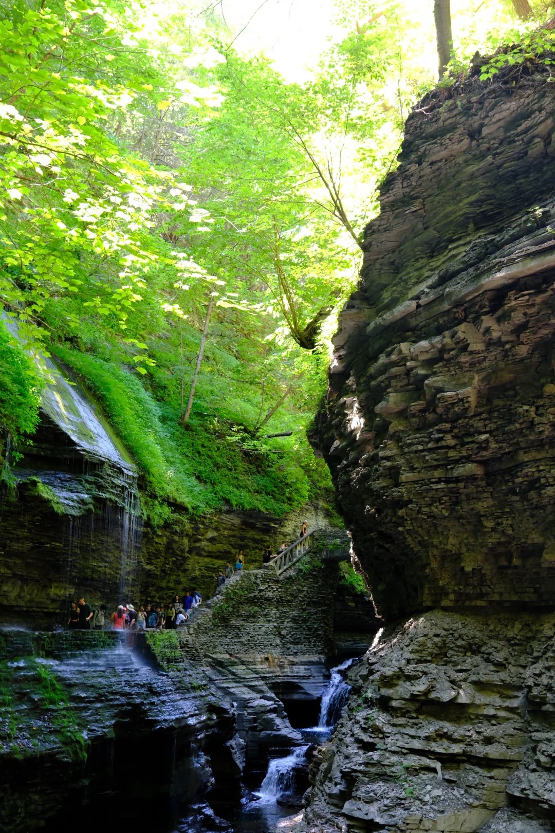Watkins Glen