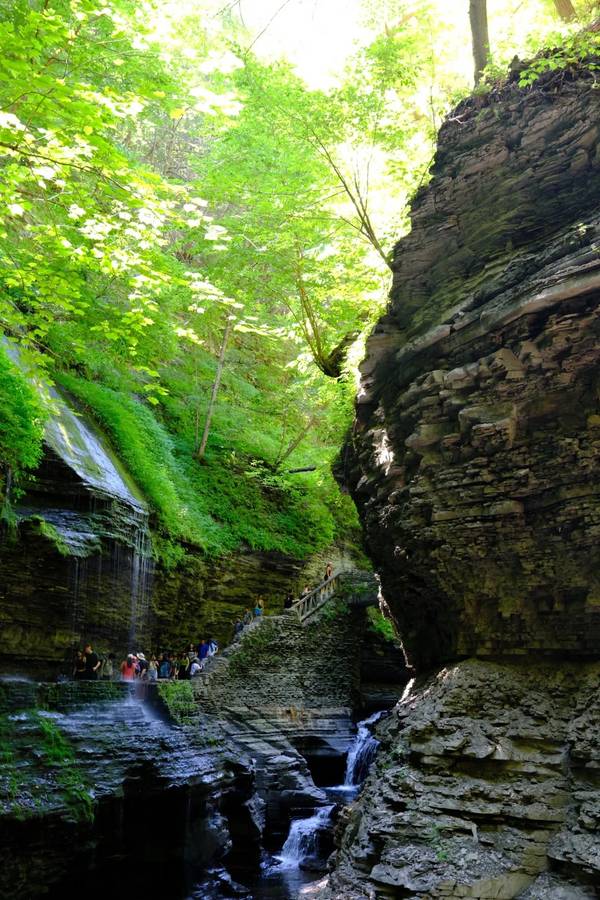 Watkins Glen