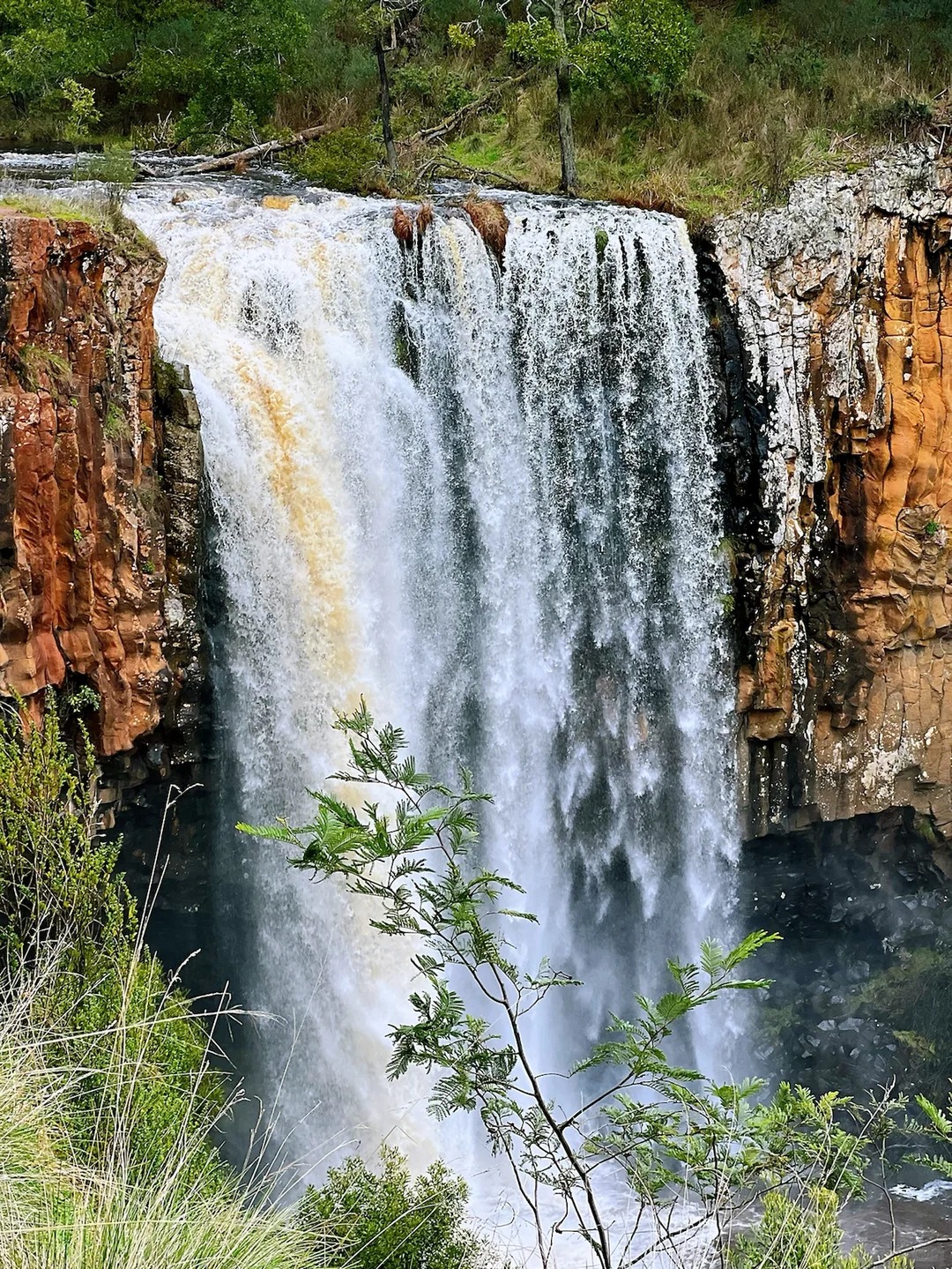 Trentham Falls