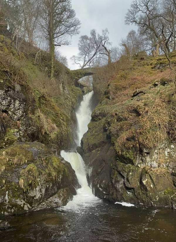 Aira Force