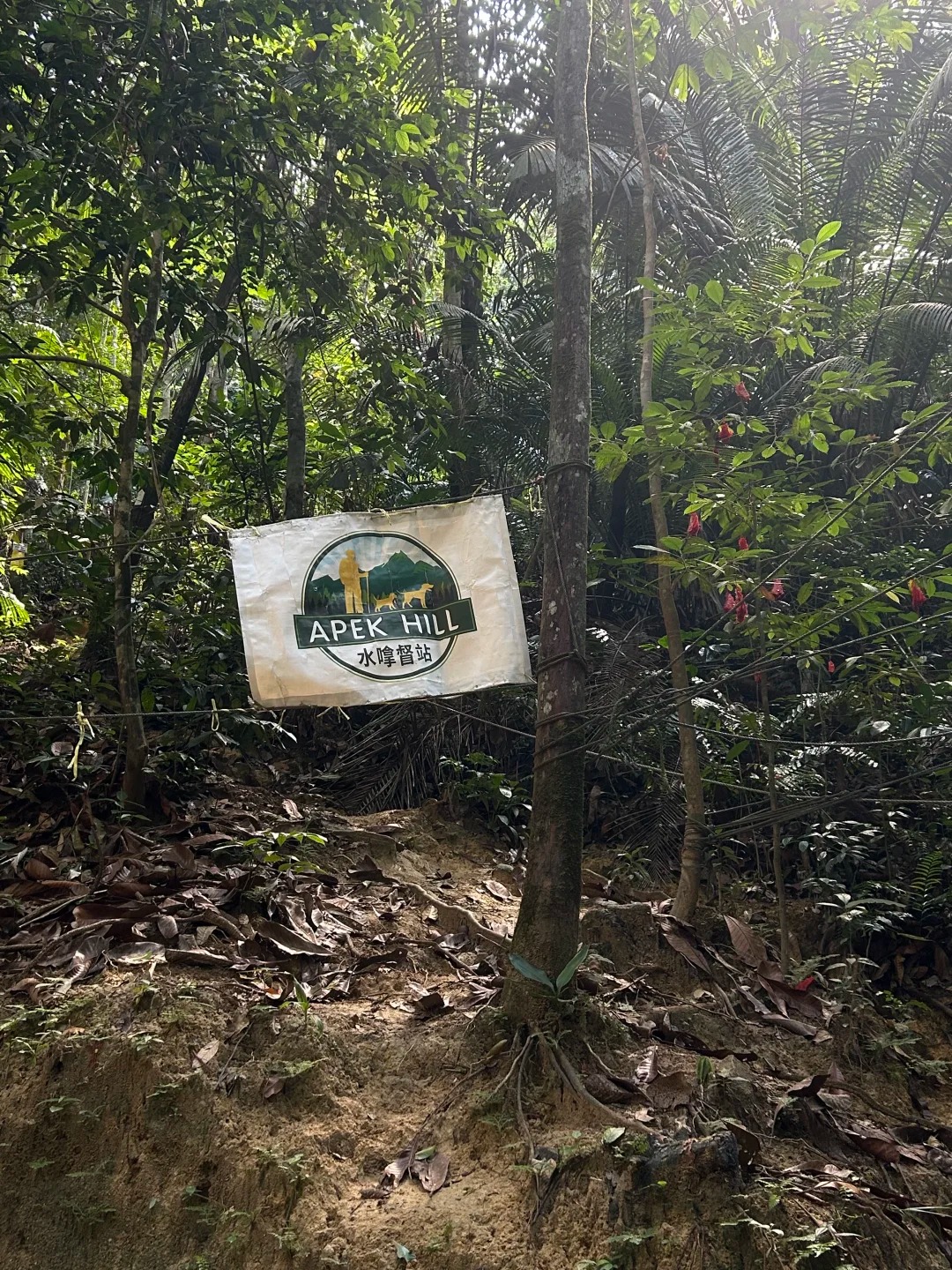 Apek Waterfall