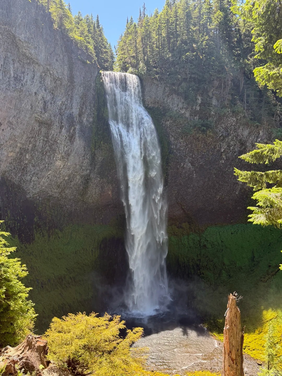 Salt Creek Falls